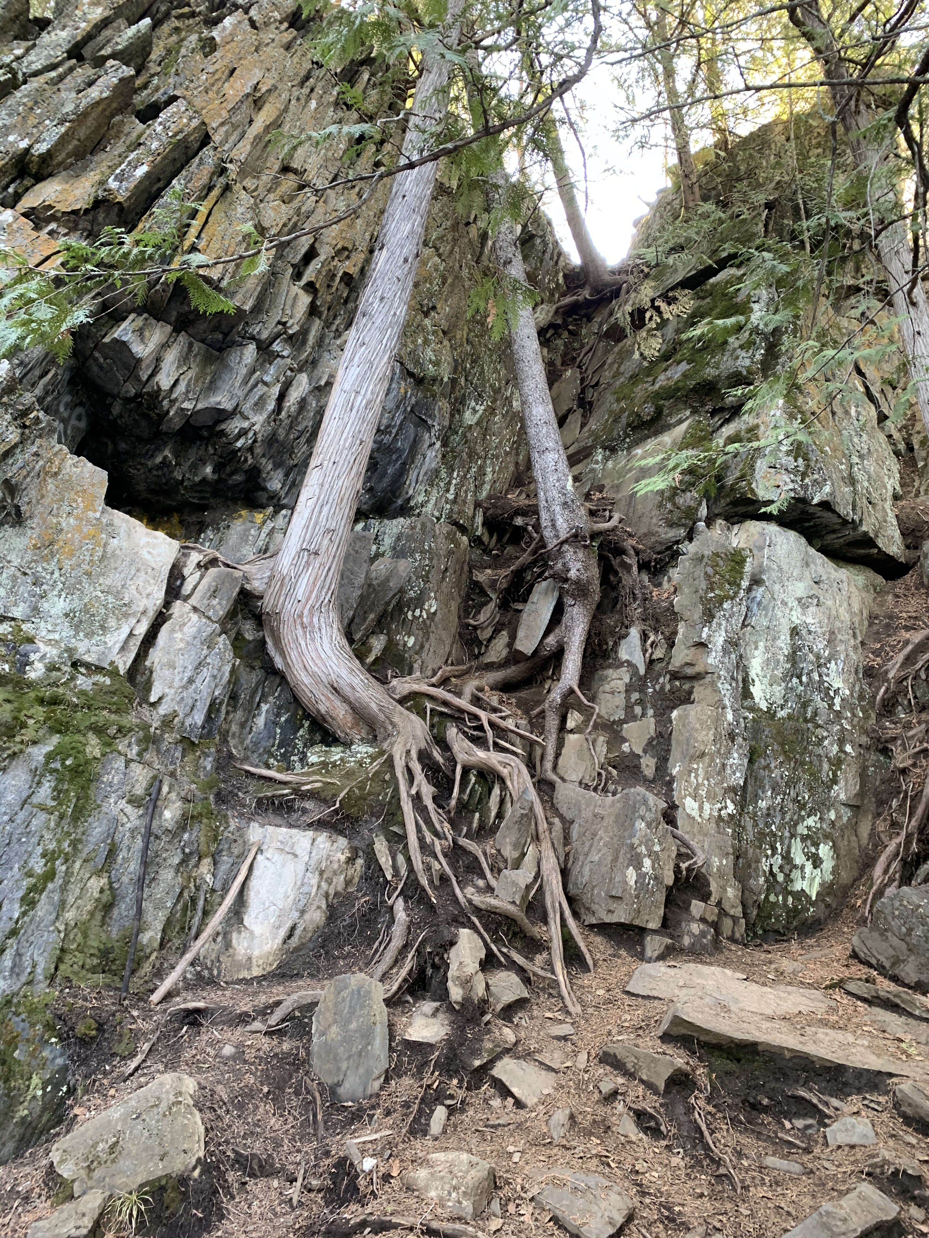 Hunt_Lake